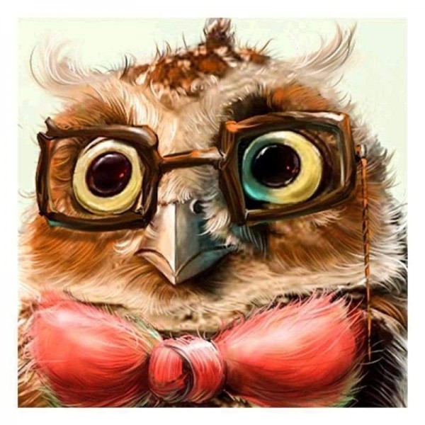 Volledige boor - 5D DIY Diamond Painting Kits Mooie olieverfstijlen Cartoon Uil