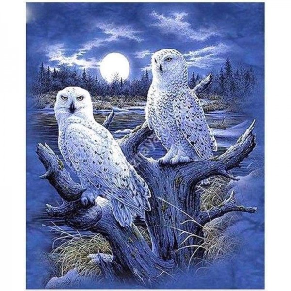 Volledige boor - 5D DIY Diamond Painting Winter Moon Animal Owls Kits