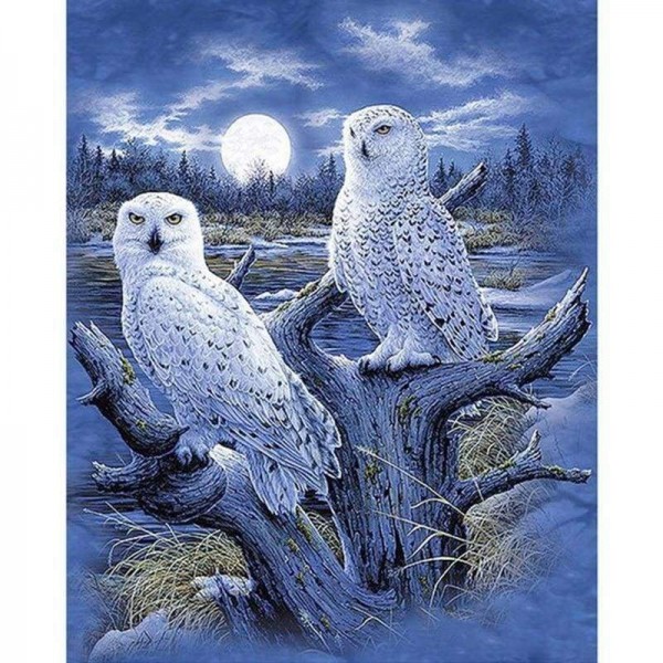 Volledige boor - 5D DIY Diamond Painting Kits Winter Moon White Owl