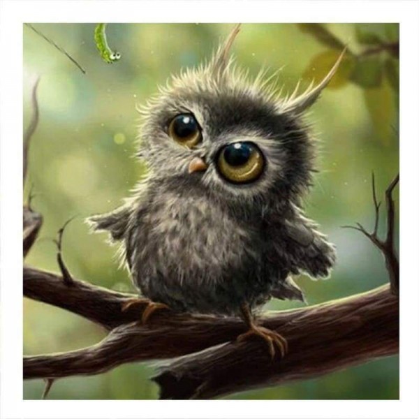 Volledige boor - 5D DIY Diamond Painting Kits Cartoon Dieren Uil