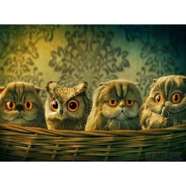 Volledige boor - 5D DIY Diamond Painting Kits Animal Owl Babys in the Nest