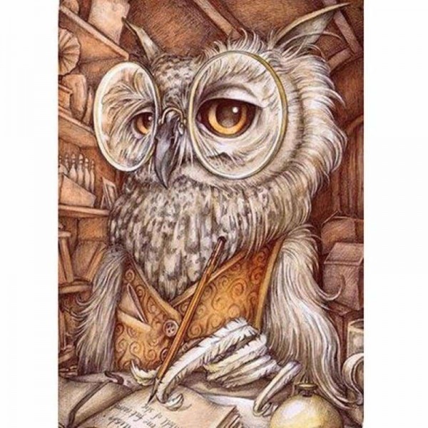 Volledige boor - 5D DIY Diamond Painting Kits Cartoon Funny Animal Owl