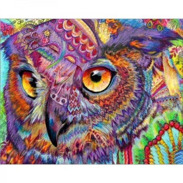 Volledige boor - 5D DIY Diamond Painting Kits Kleurrijke Cartoon Mooie Uil