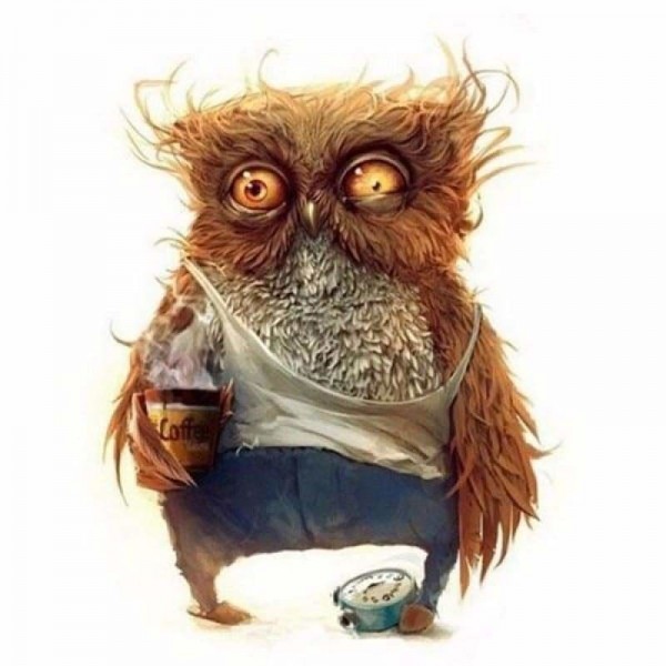 Volledige boor - 5D DIY Diamond Painting Kits Grappige Cartoon Uil