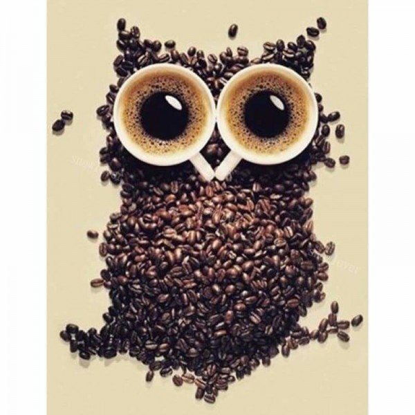 Volledige boor - 5D DIY Diamond Painting Kits Visional Coffee Bean Owl