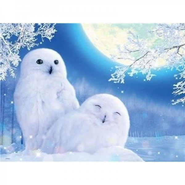 Volledige boor - 5D DIY Diamond Painting Kits Special Winter Moon Owl Couple