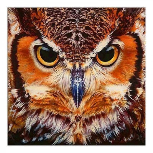 Volledige boor - 5D DIY Diamond Painting Kits Cartoon Cool Owl