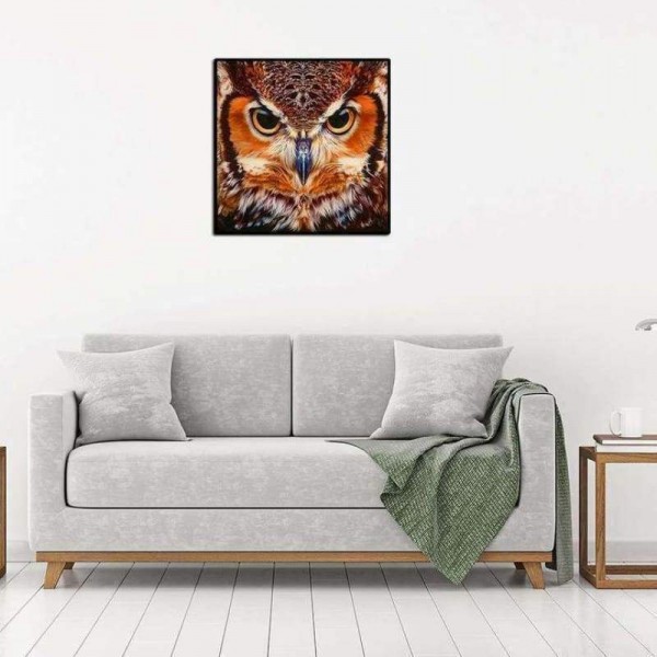 Volledige boor - 5D DIY Diamond Painting Kits Cartoon Cool Owl