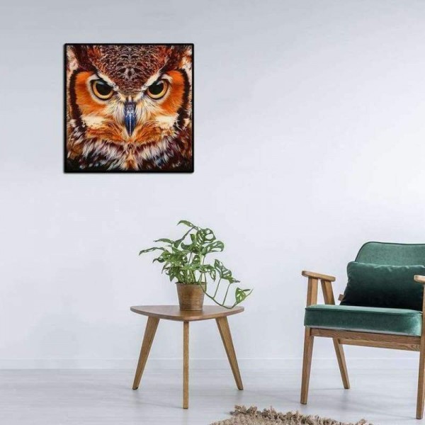 Volledige boor - 5D DIY Diamond Painting Kits Cartoon Cool Owl