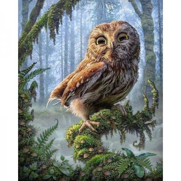 Volledige boor - 5D DIY Diamond Painting Kits Cartoon Animal Owl