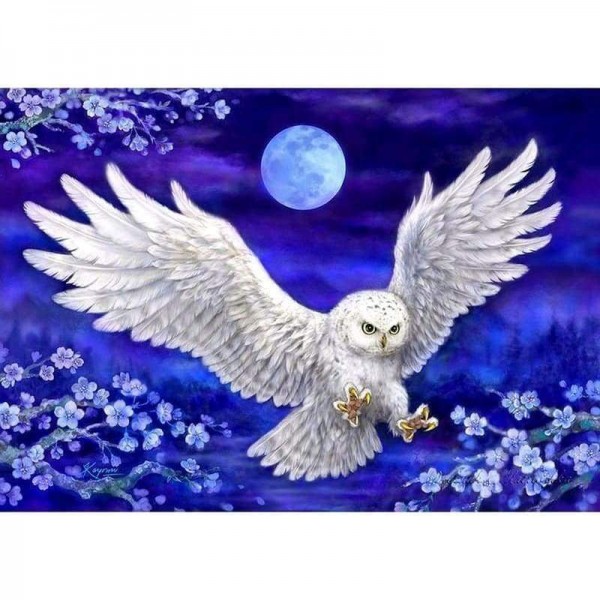 Volledige boor - 5D DIY Diamond Painting Kits Night Flying White Owl