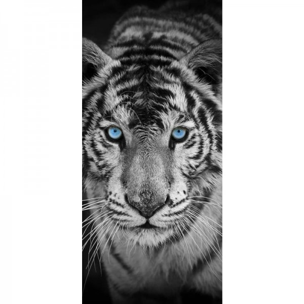 Zwart-wit Tiger Blue Eyes-Volledige boor Diamond Painting-