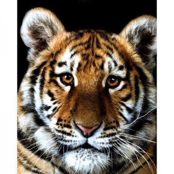 Volledige boor - 5D DIY Diamond Painting Kits Cute Tiger Baby