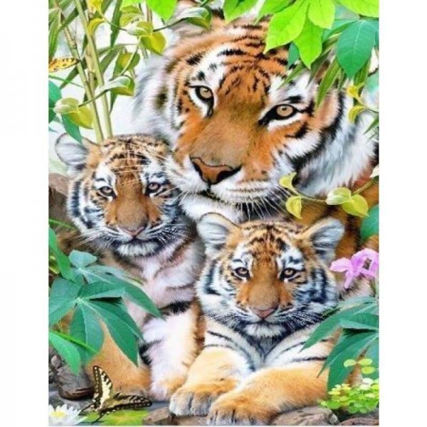 Volledige boor - 5D DIY Diamond Painting Kits Warm Tiger Family
