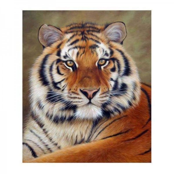 Volledige boor - 5D DIY Diamond Painting Kits Cartoon Animal Tiger