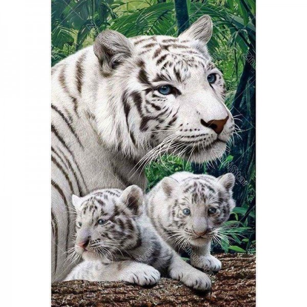 Volledige boor - 5D DIY Diamond Painting Kits Animal White Tiger Family