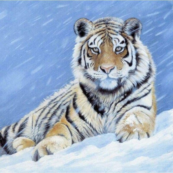 Volledige boor - 5D DIY Diamond Painting Winter Tiger's Gaze