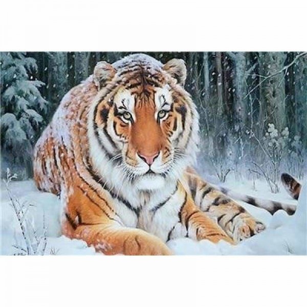 Volledige boor - 5D DIY Diamond Painting Kits Winter Cool Tiger