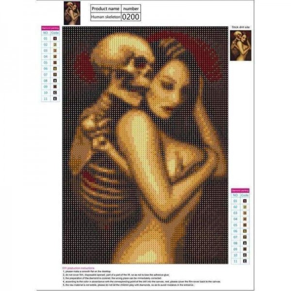 Volledige boor - 5D DIY Diamond Painting Kits Speciale schedel en sexy vrouw