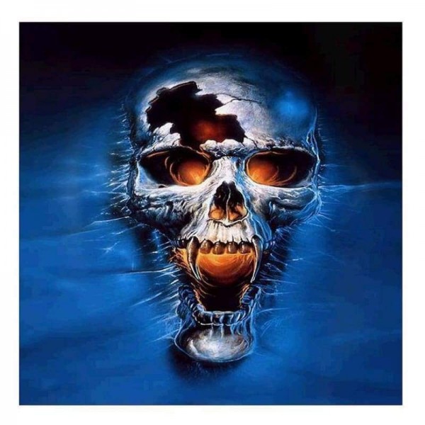 Volledige boor - 5D DIY Diamond Painting Kits Verschrikkelijke speciale schedel