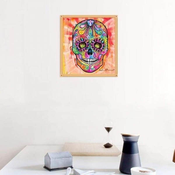 Volledige boor - 5D DIY Diamond Painting Kits Cartoon kleurrijke schedel