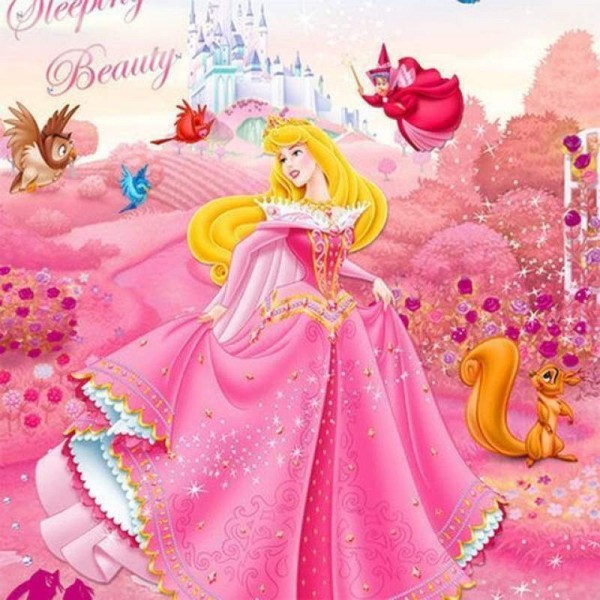 Volledige boor - 5D Diamond Painting Kits Pink Cartoon Beautiful Kind Princess