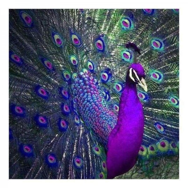 Volledige boor - 5D DIY Diamond Painting Kits Paarse en blauwe olieverfstijlen Peacock