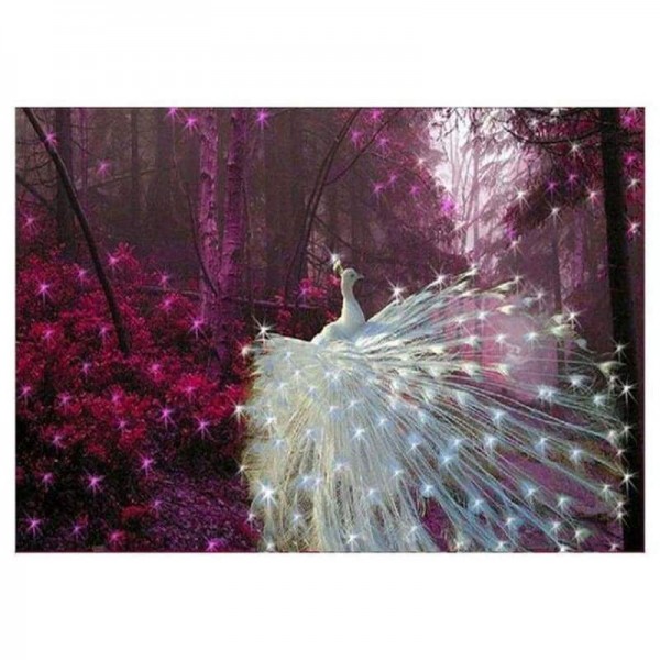 Volledige boor - 5D DIY Diamond Painting Kits Dream White Shine Peacock