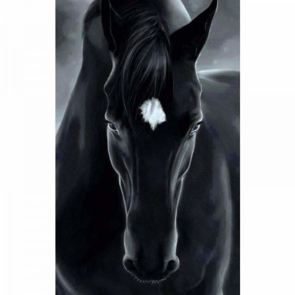 Close up zwart paard