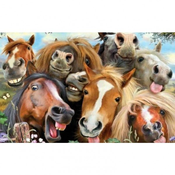 Grappige paarden selfie