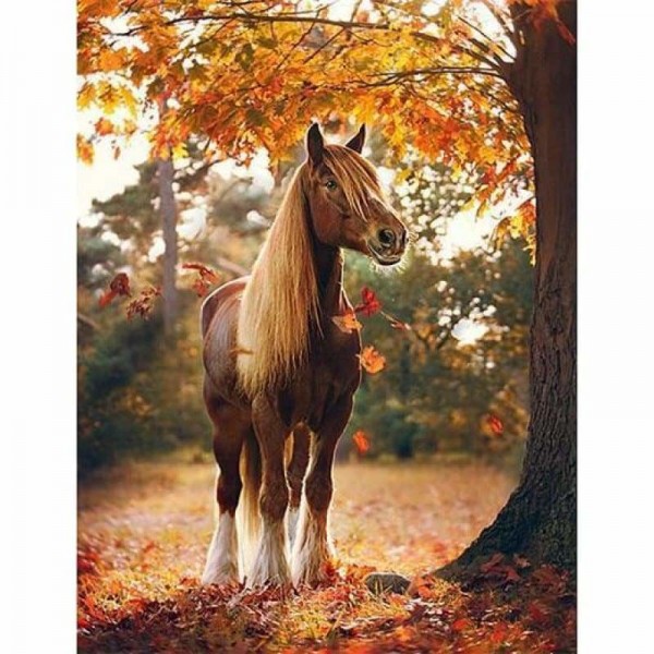 Paard in herfst bos