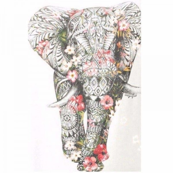 Volledige boor - 5D DIY Diamond Painting Kit Bedazzled Special Colourful Elephant