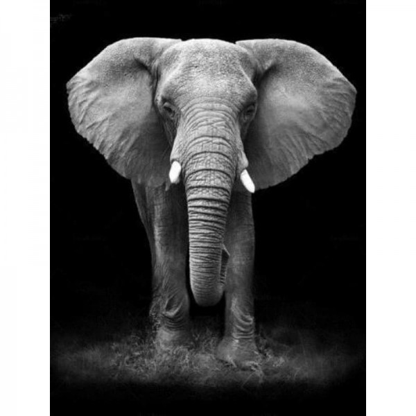 Volledige boor - 5D DIY Diamond Painting Kits Fantastic Grey Elephant