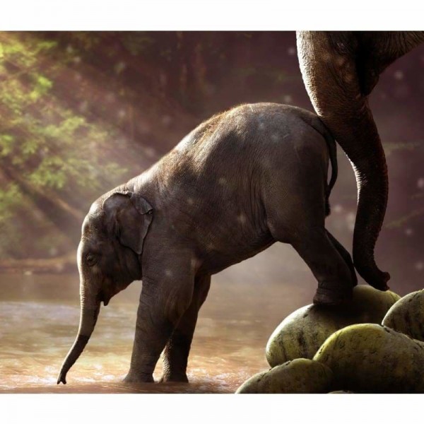 Mama helpt baby olifant