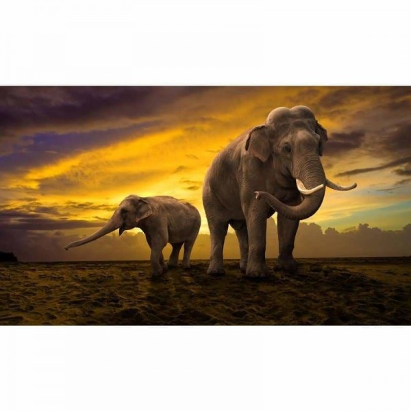 Volledige boor - 5D DIY Diamond Painting Kits Zonsondergangscène Olifant