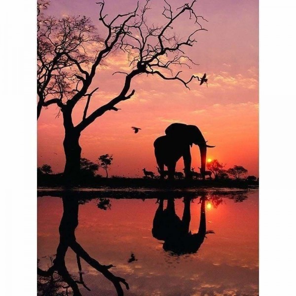 Volledige boor - 5D DIY Diamond Painting Kits Zonsondergang Landschap Olifant