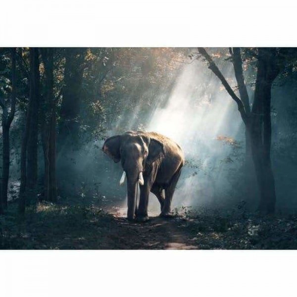 Olifant-Volledige Boor Diamant Schilderij-