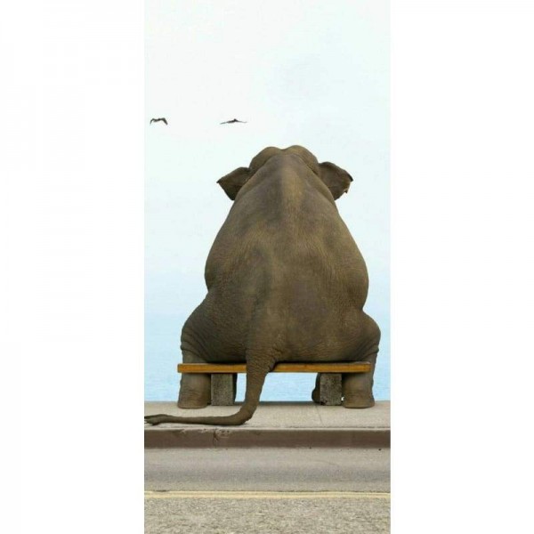 Olifant 04- Volledige boor diamant schilderij -