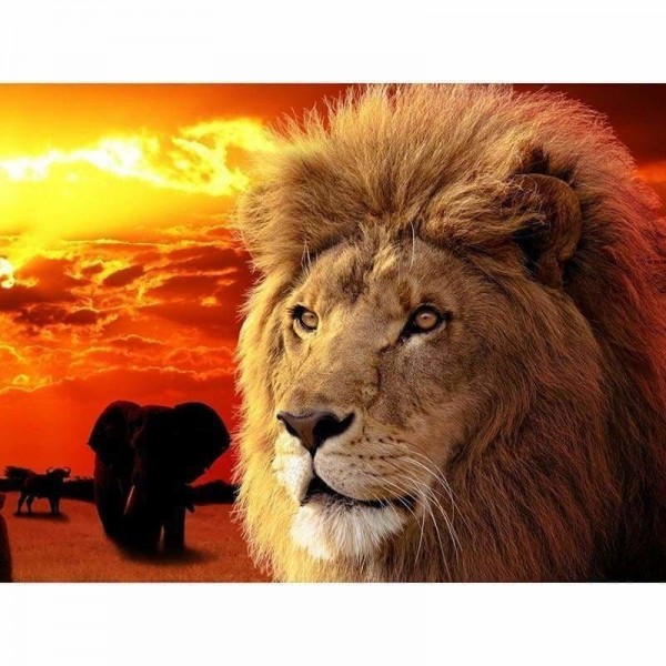 Volledige boor - 5D Diy Diamond Painting Twilight Lion Elephant Sunset
