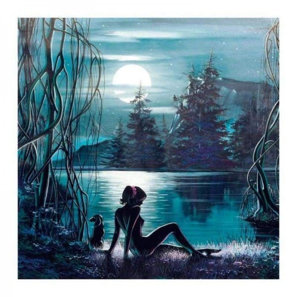 Volledige boor - 5D DIY Diamond Painting Kits Dream Moon Scene Beauty