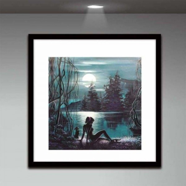 Volledige boor - 5D DIY Diamond Painting Kits Dream Moon Scene Beauty