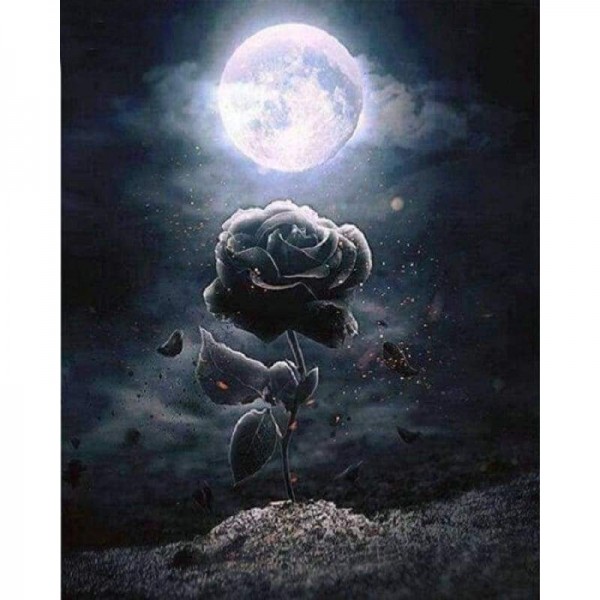 Volledige boor - 5D DIY Diamond Painting Kits Dream Moon Rose