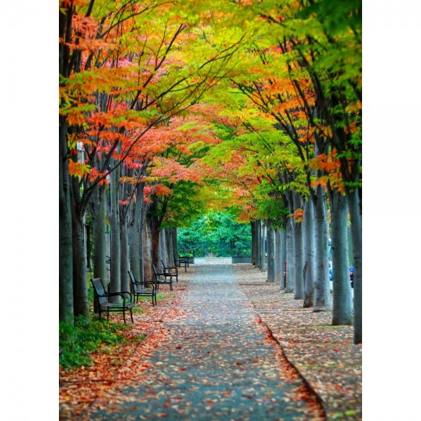 DIY Diamond Painting - Landschappen PIX-2272