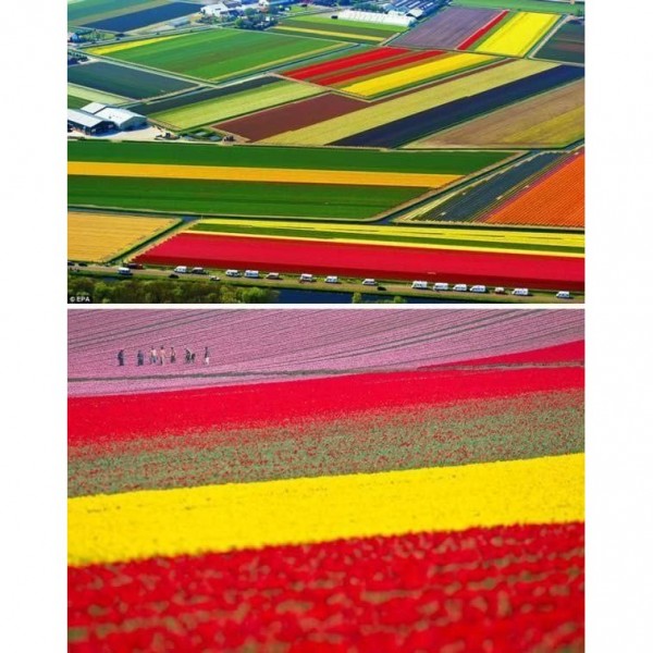 DIY Diamond Painting - Landschappen PIX-2147