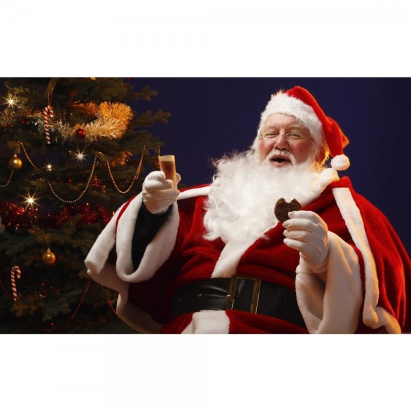 DIY Diamond Painting - Kerstmis PIX-1168