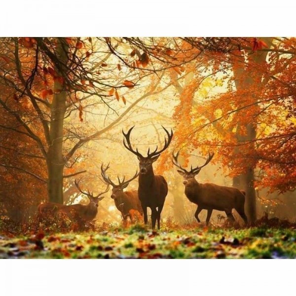 Volledige boor - 5D DIY Diamond Painting Kits Autumn Dream Animal Deers