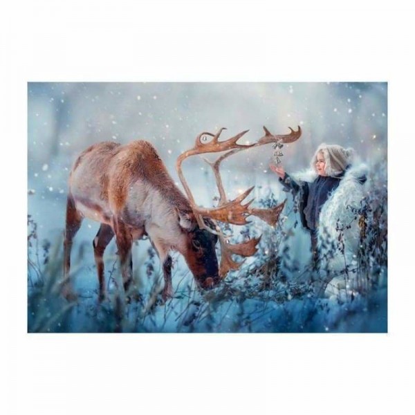 Volledige boor - 5D DIY Diamond Painting Kits Winter Snow Deer AF9143