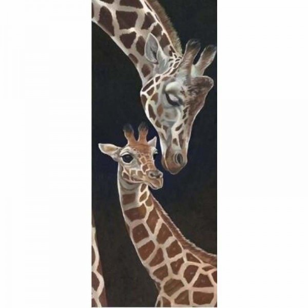 Twee giraffe