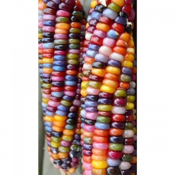 DIY Diamond Painting - Etnisch PIX-1468