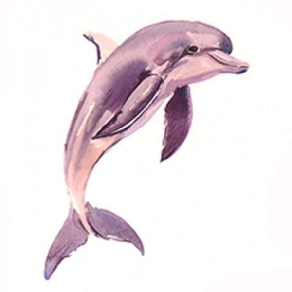 Volledige boor - 5D DIY Diamond Painting Kits Mooie roze dolfijn